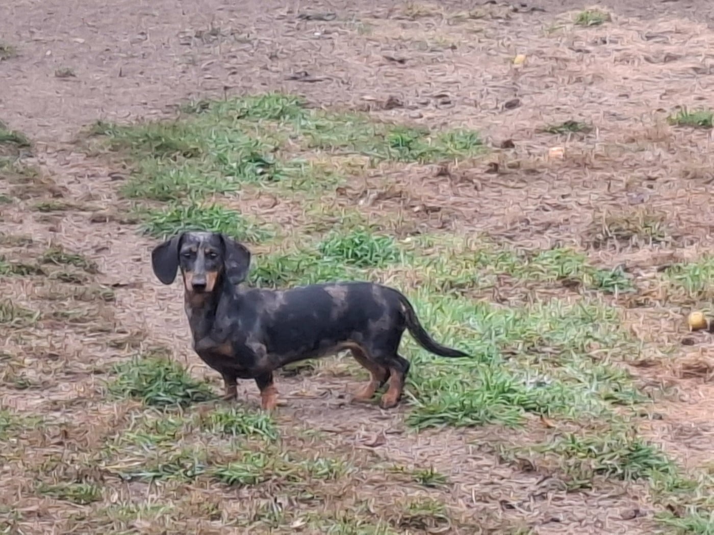 Publication : (Sans Affixe)