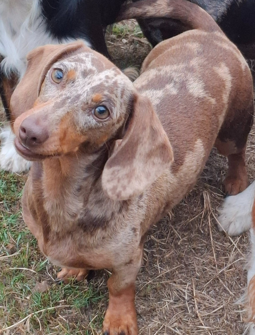 Publication : (Sans Affixe) 