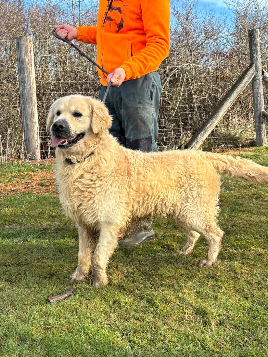 Publication : De La Fount D'Argent 