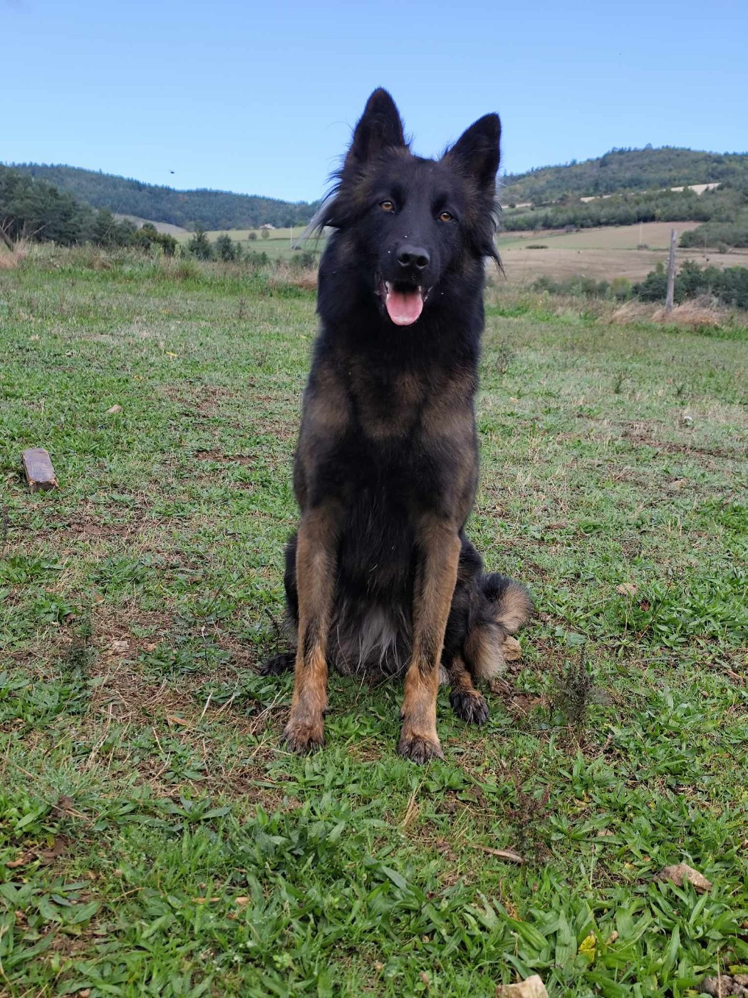 Publication : des crocs du vivarais 