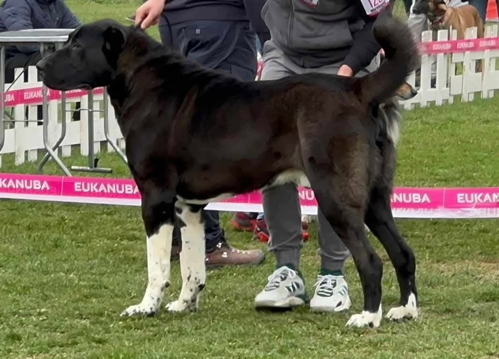 Publication : De La Vallée D'Oska 