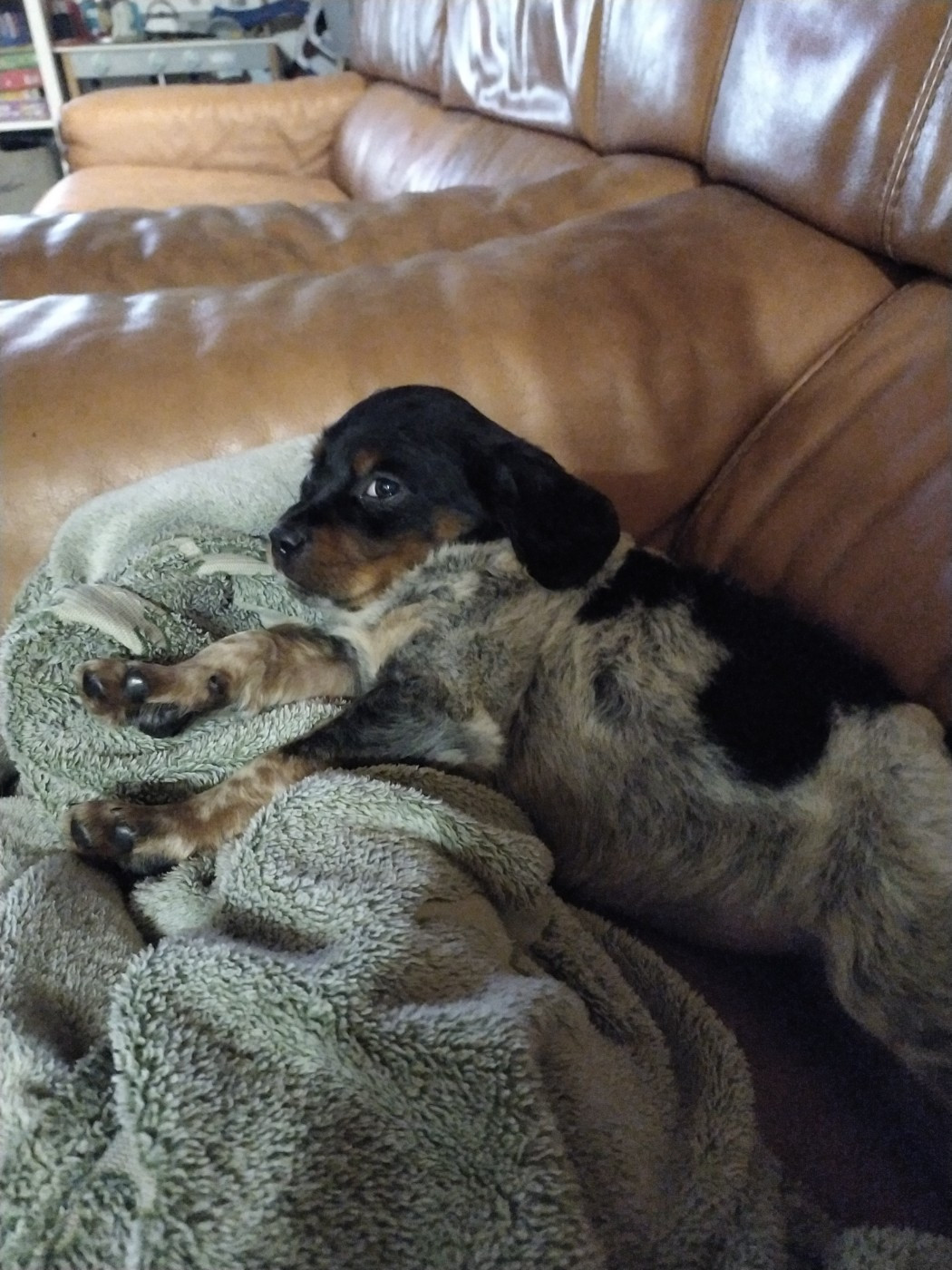 Publication : De La Terrible Menée 