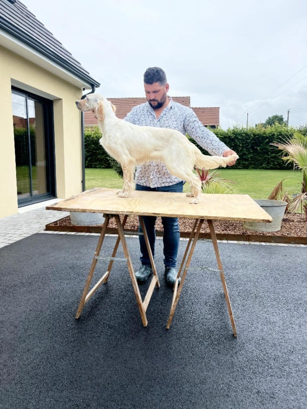 Publication : Des Bruyères Murettes 