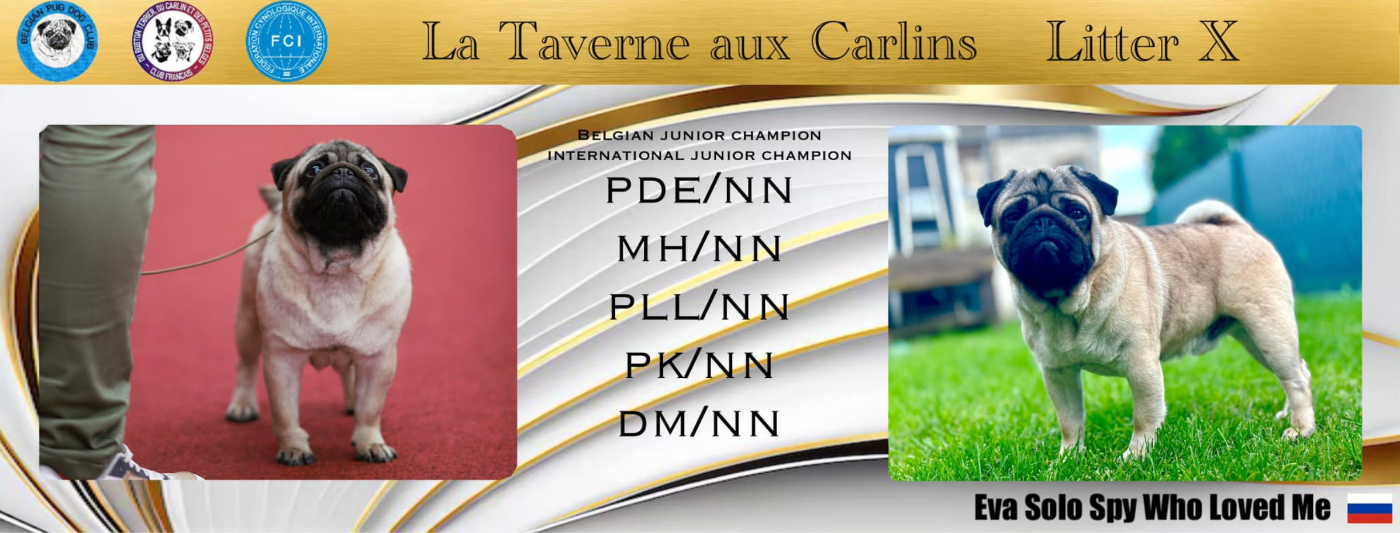 Publication : Des Chéris A Lily 