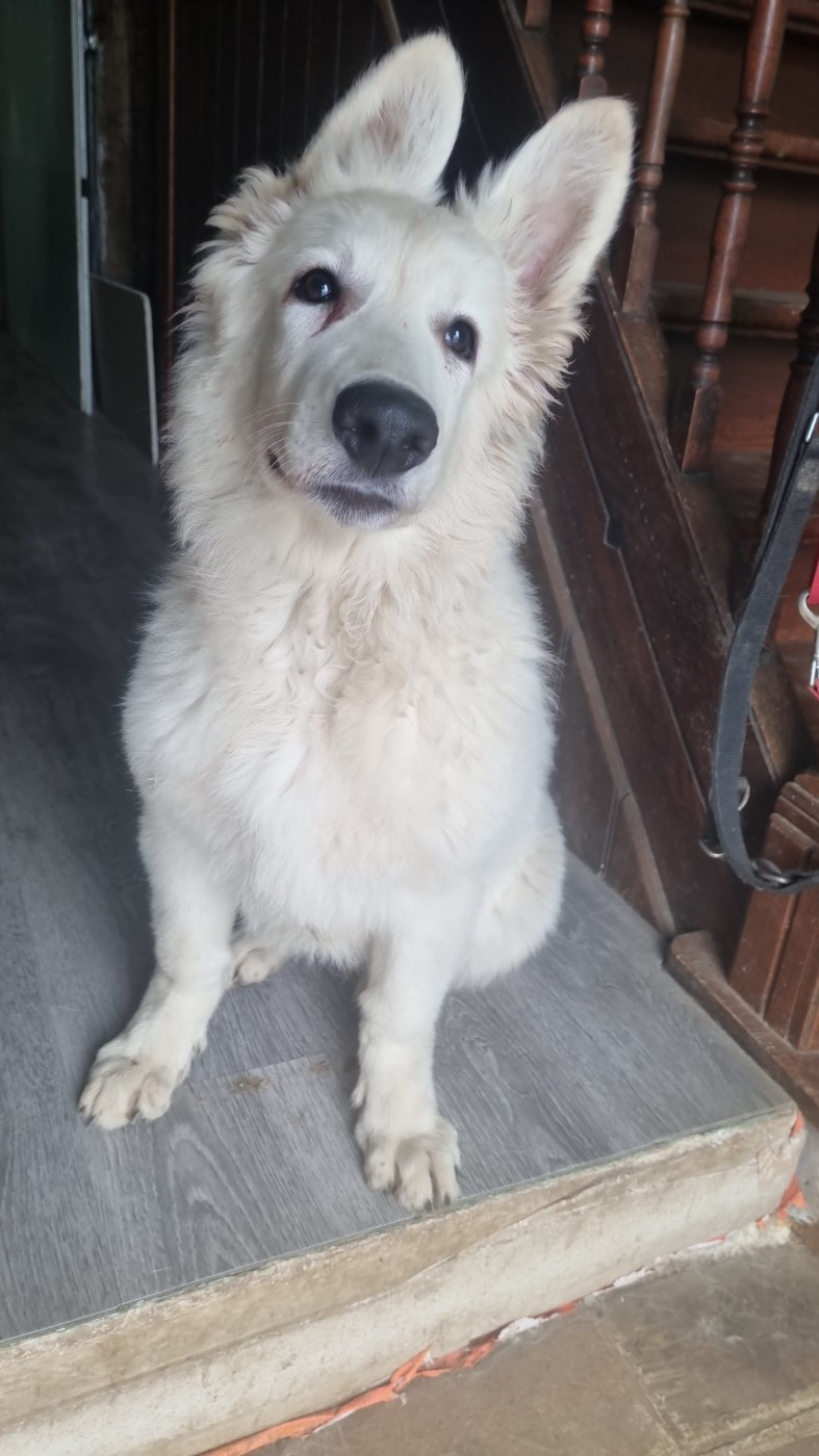 Publication : Du Domaine De Manigloo