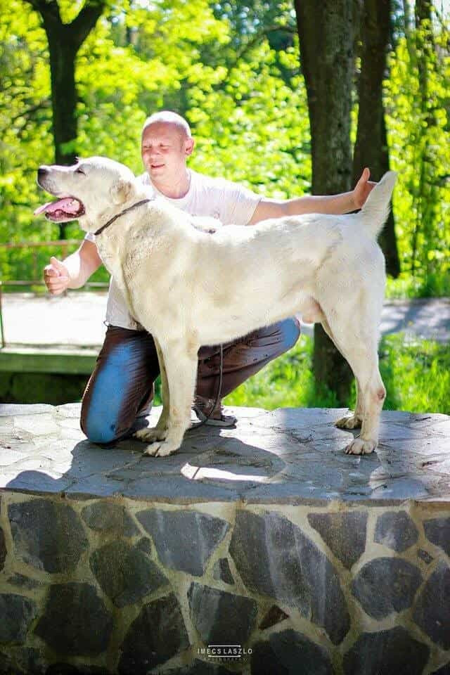 CH. Midisandler Unique Babur-Fi