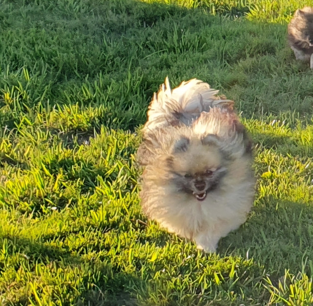 Publication : Des Jardins De Titan