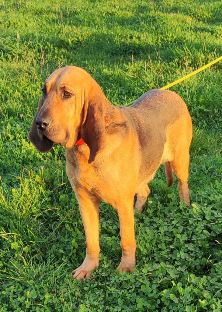 Publication : des menthes sauvages Auteur : Beatrice Grenier