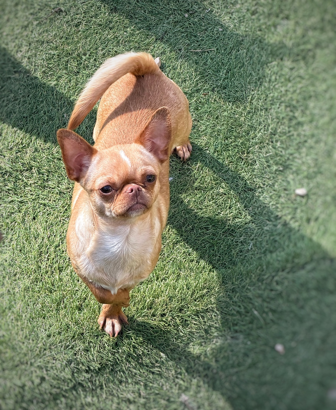 Publication : De La Vallée De Naica 