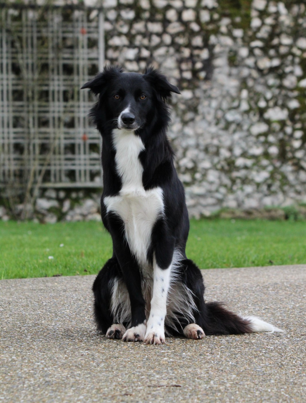 Publication : Du Domaine D'Osmy Auteur : Clarice leveque