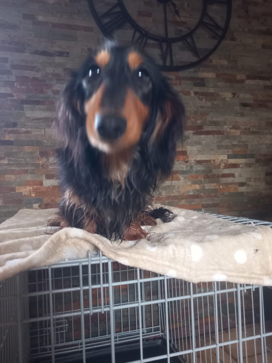 Publication : Domaine D'Hensyloja Auteur : laurence MORLET