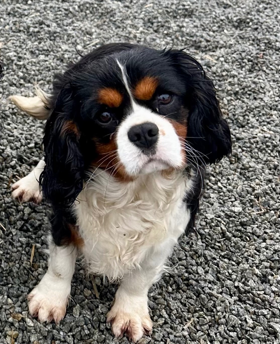 Publication : Des Vents D'Océan 