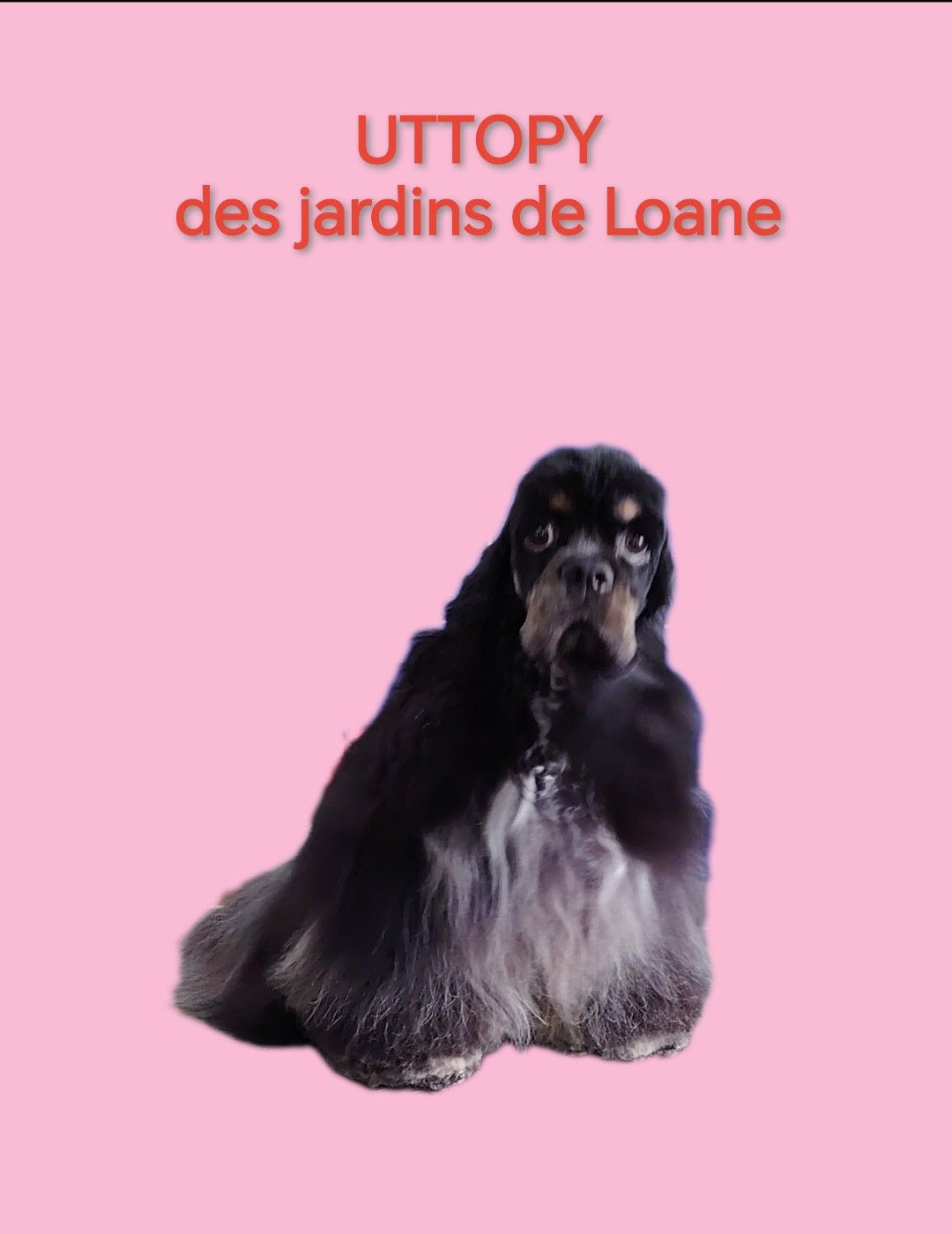 Publication : des jardins de Loane