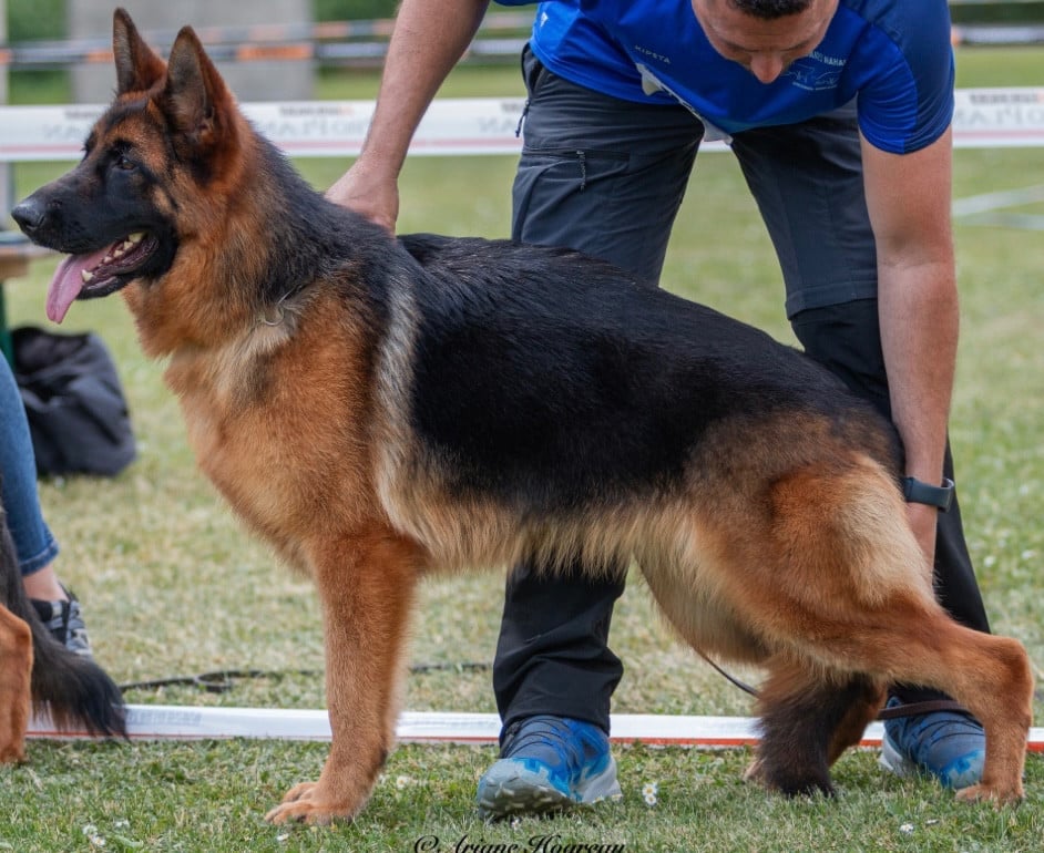 Vick des Légendes du Castel