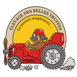 Publication : Des Belles Truffes 