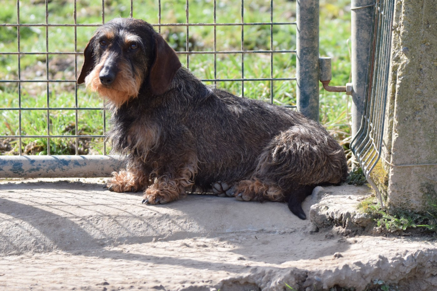 Publication : Du Domaine Du Brame 