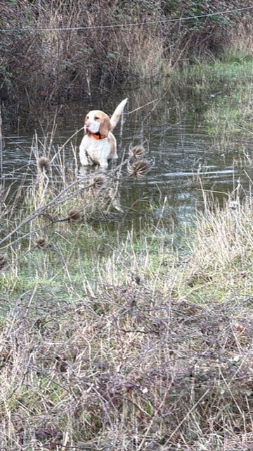 Publication : Des Hauts De Milhac 