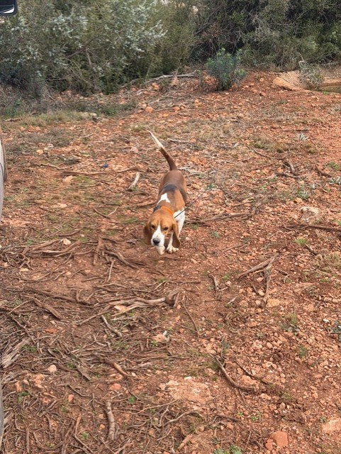 Publication : Des Hauts De Milhac 