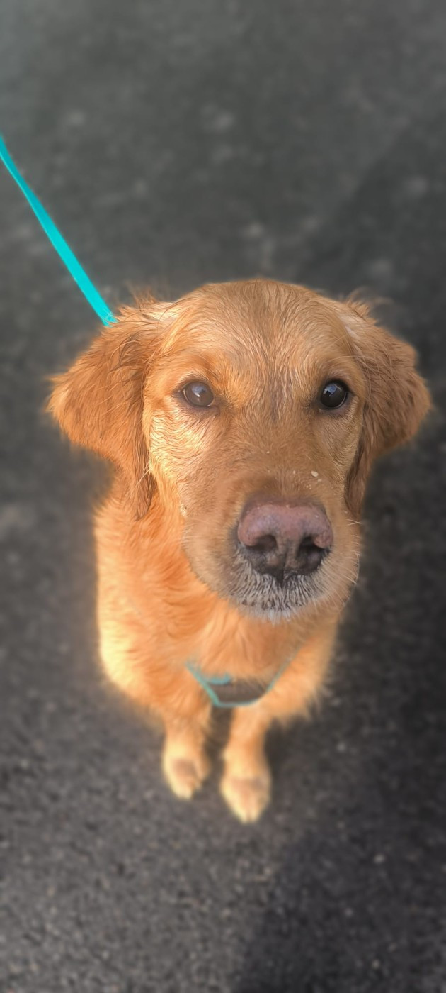 Publication : des terres de scoubidou 