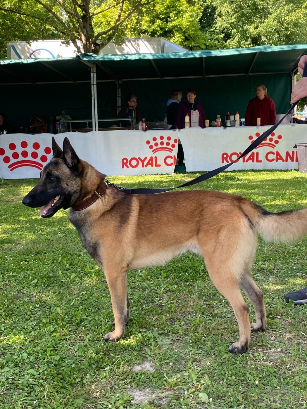 Publication : maski du van lappeenranta Auteur : CL