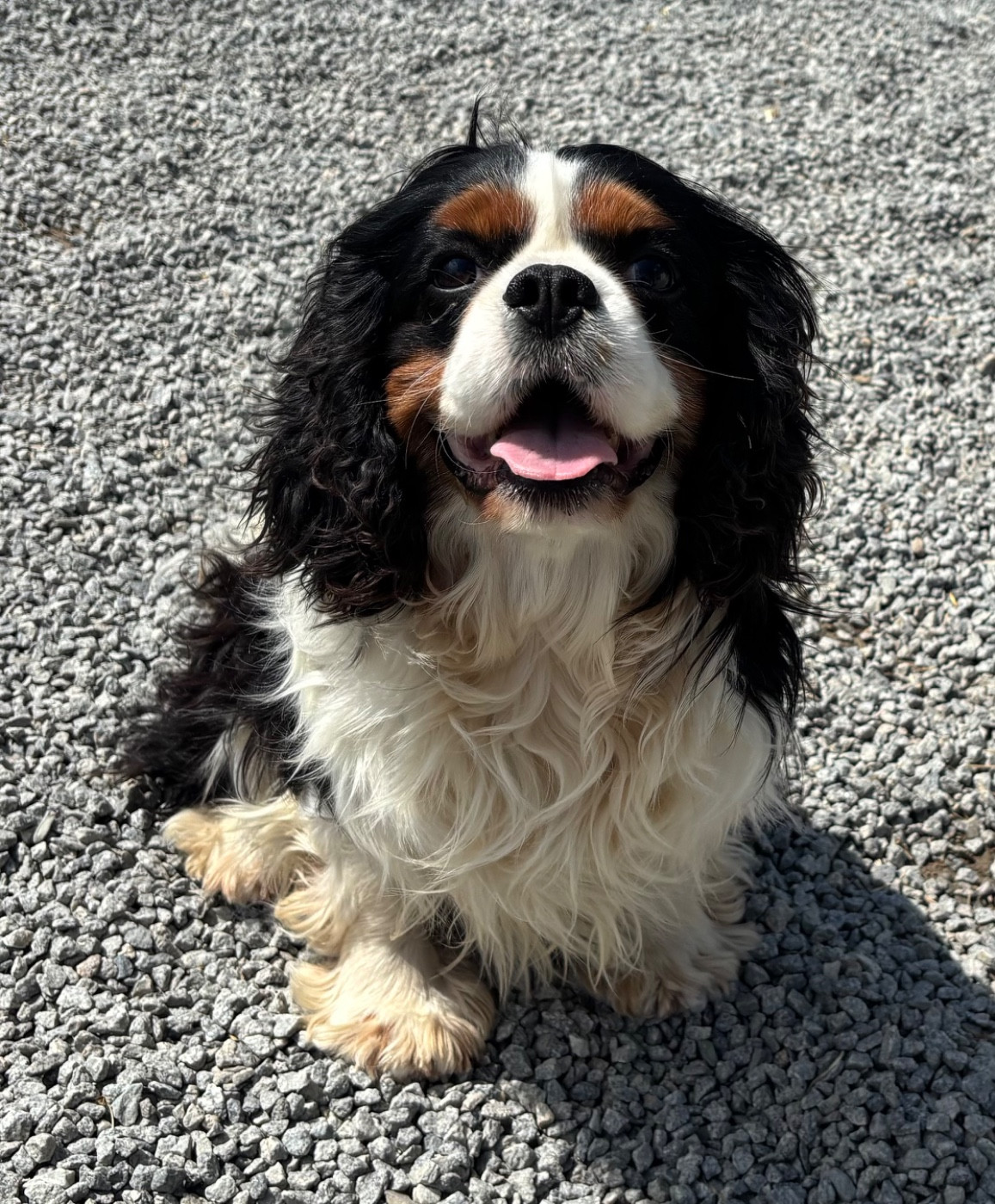 Publication : Des Vents D'Océan 