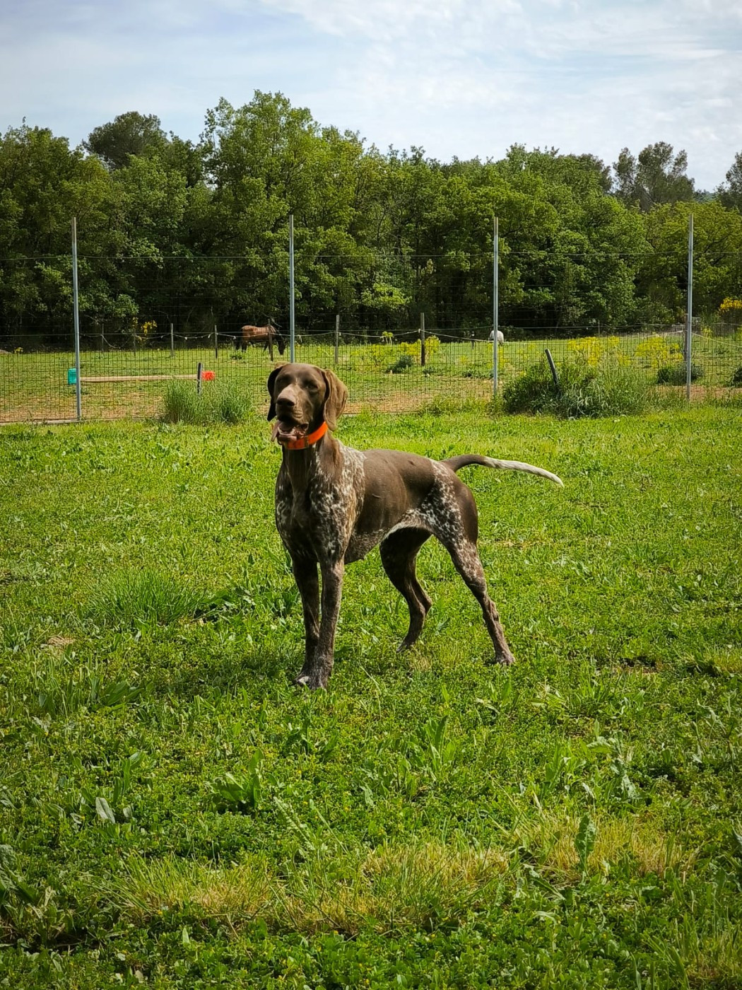 Publication : Du defends De Cabasson