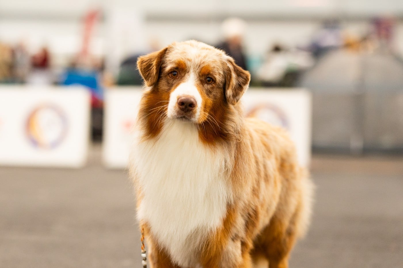 Publication : of Acala Lake Auteur : Margot GUILLET