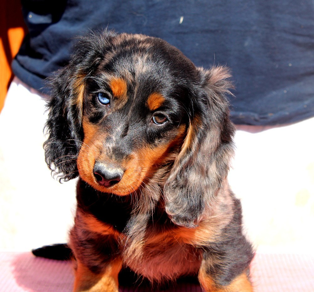 Publication : Of Moonlight Blue 