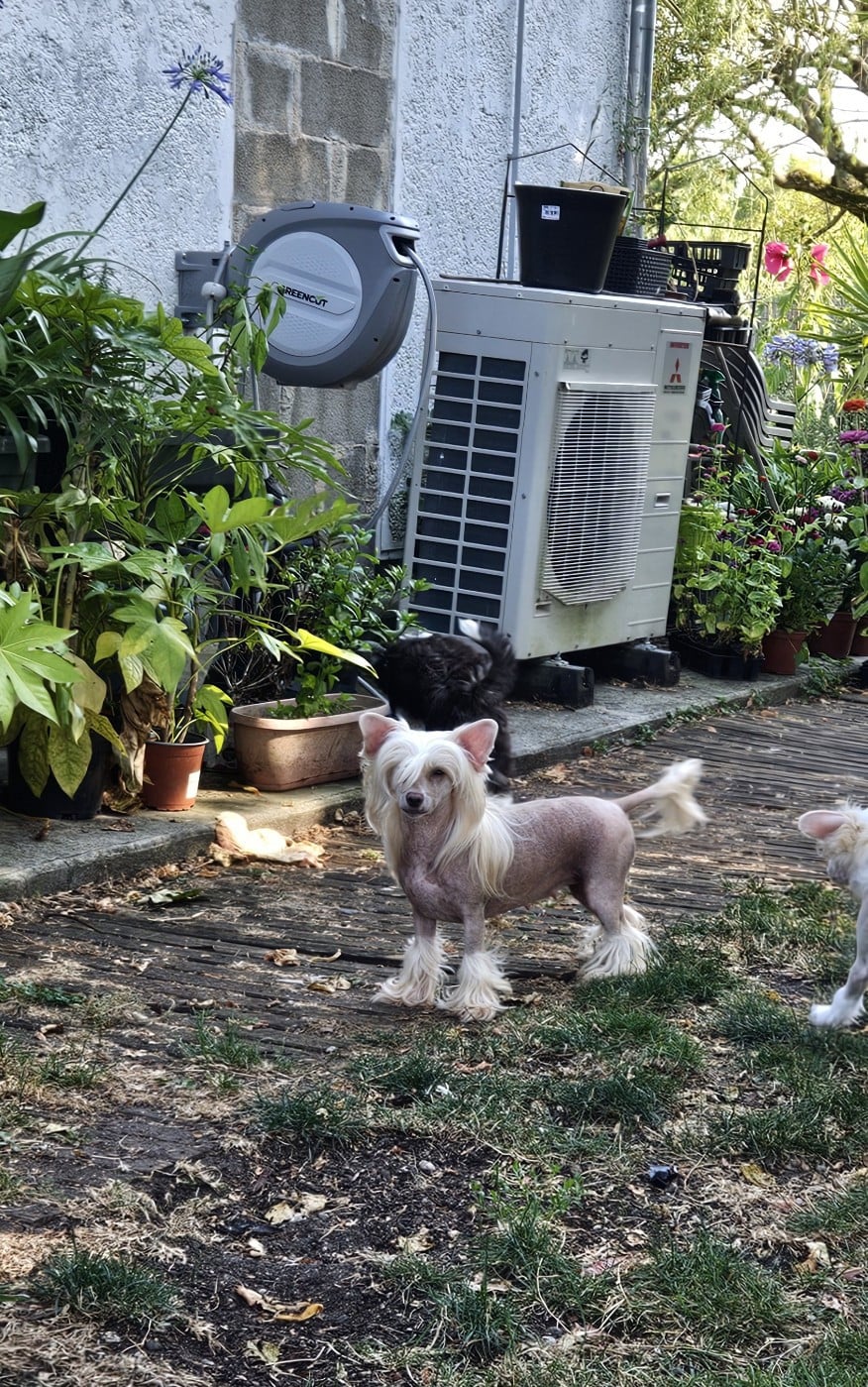 Publication : Moon Harbour