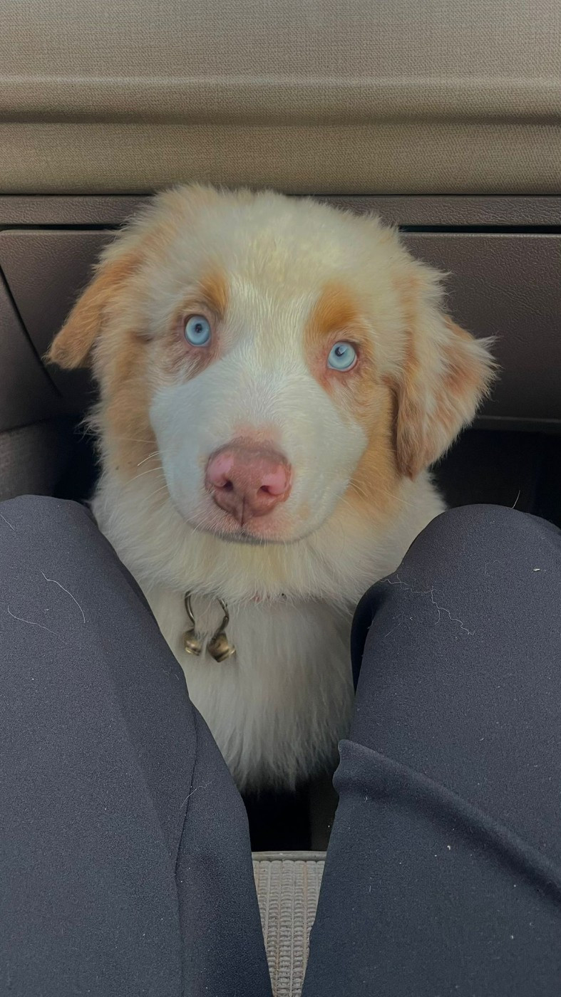 Publication : Western And Co 