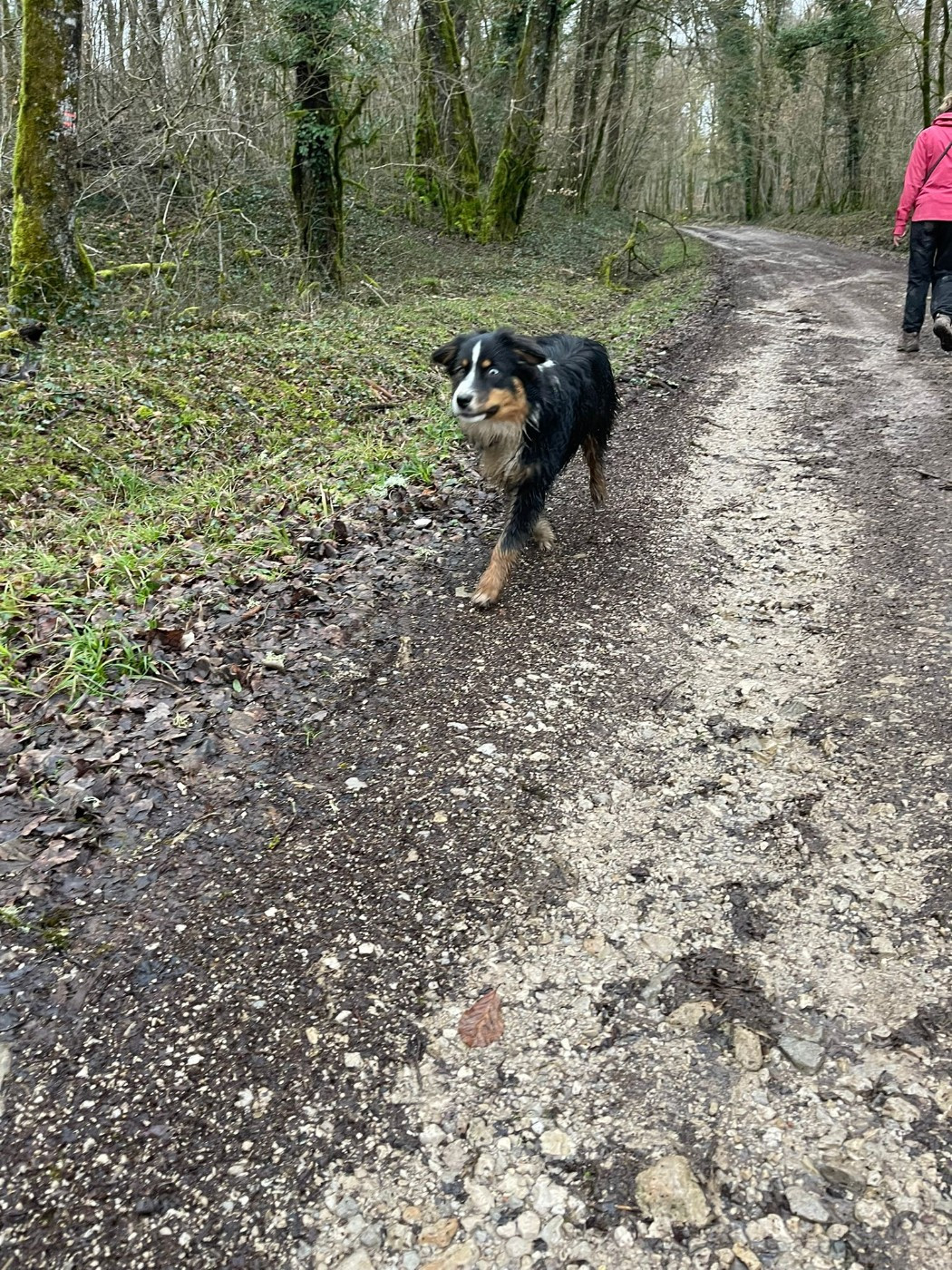 Publication : Western And Co 