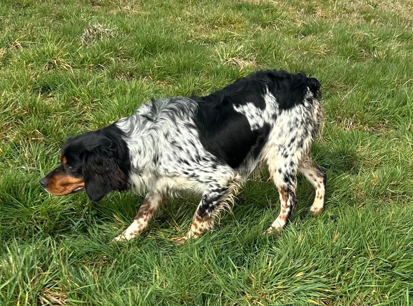 Publication : des Etangs de Dame Blanche