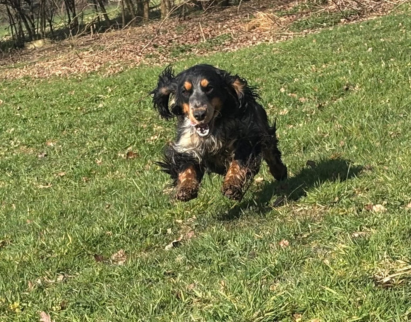 Publication : des Etangs de Dame Blanche