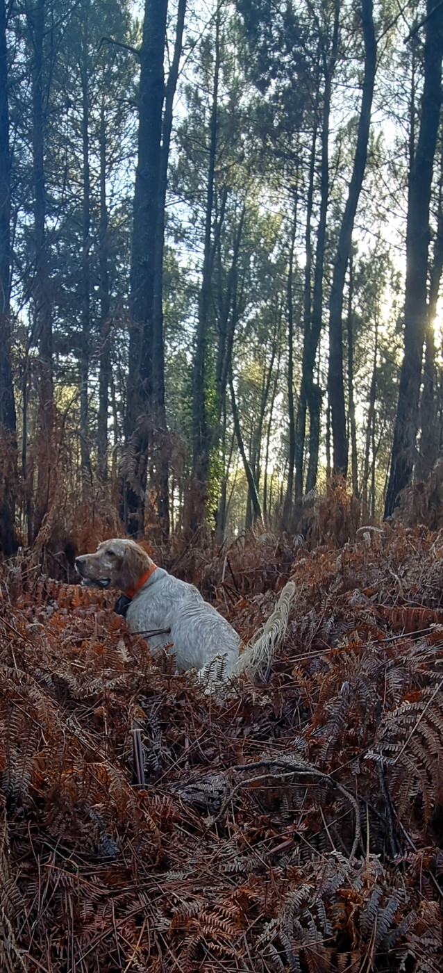 Publication : Des Pentes De La Mordoree 