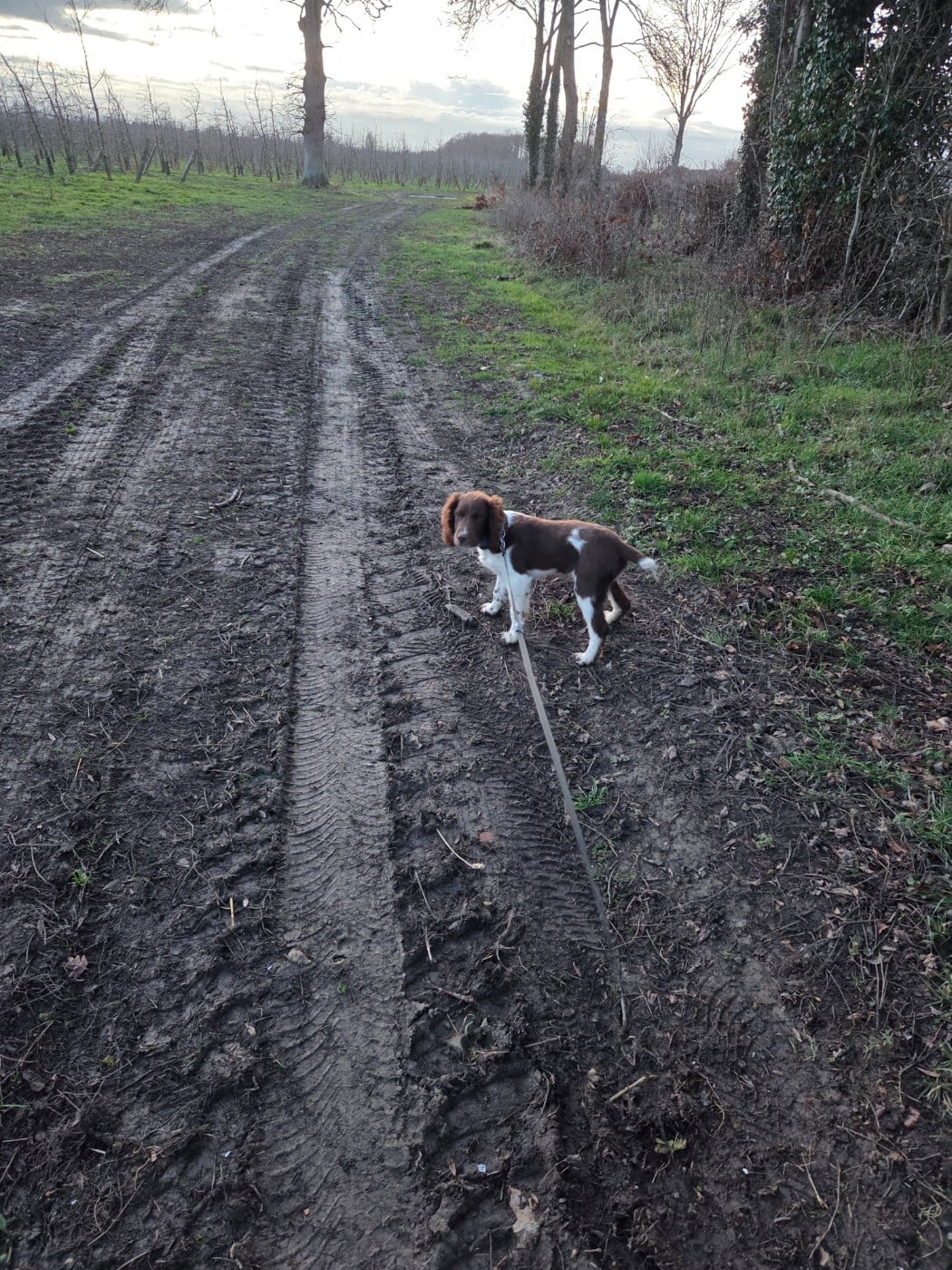 Publication : Des Voix D'Hyris 