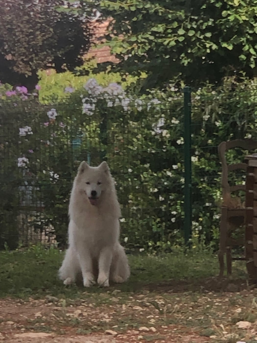 Publication : Captain Harlock