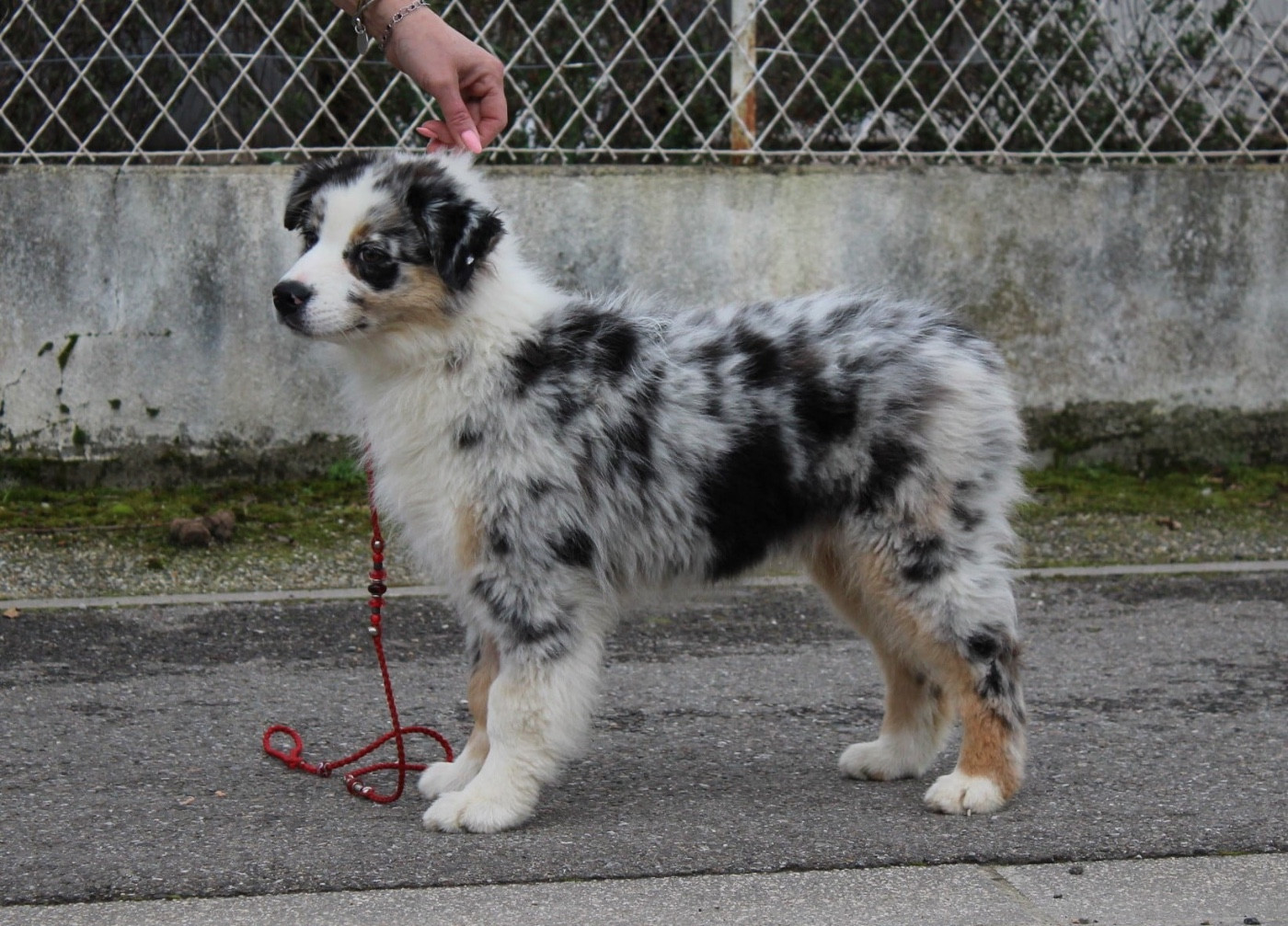 Publication : de la Plaine Ariègeoise