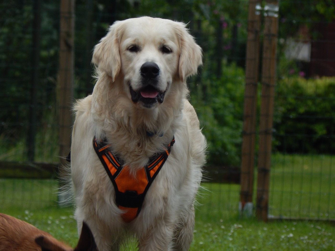 Publication : Des Roches Du Pernavatou