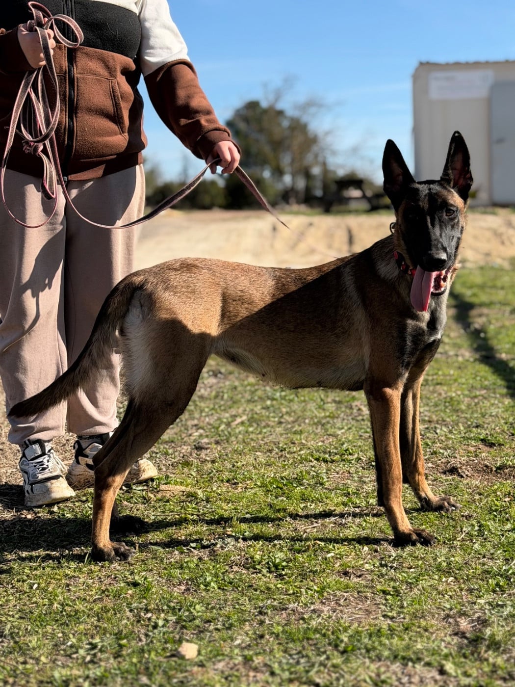 Voukie du chemin de l’espérance