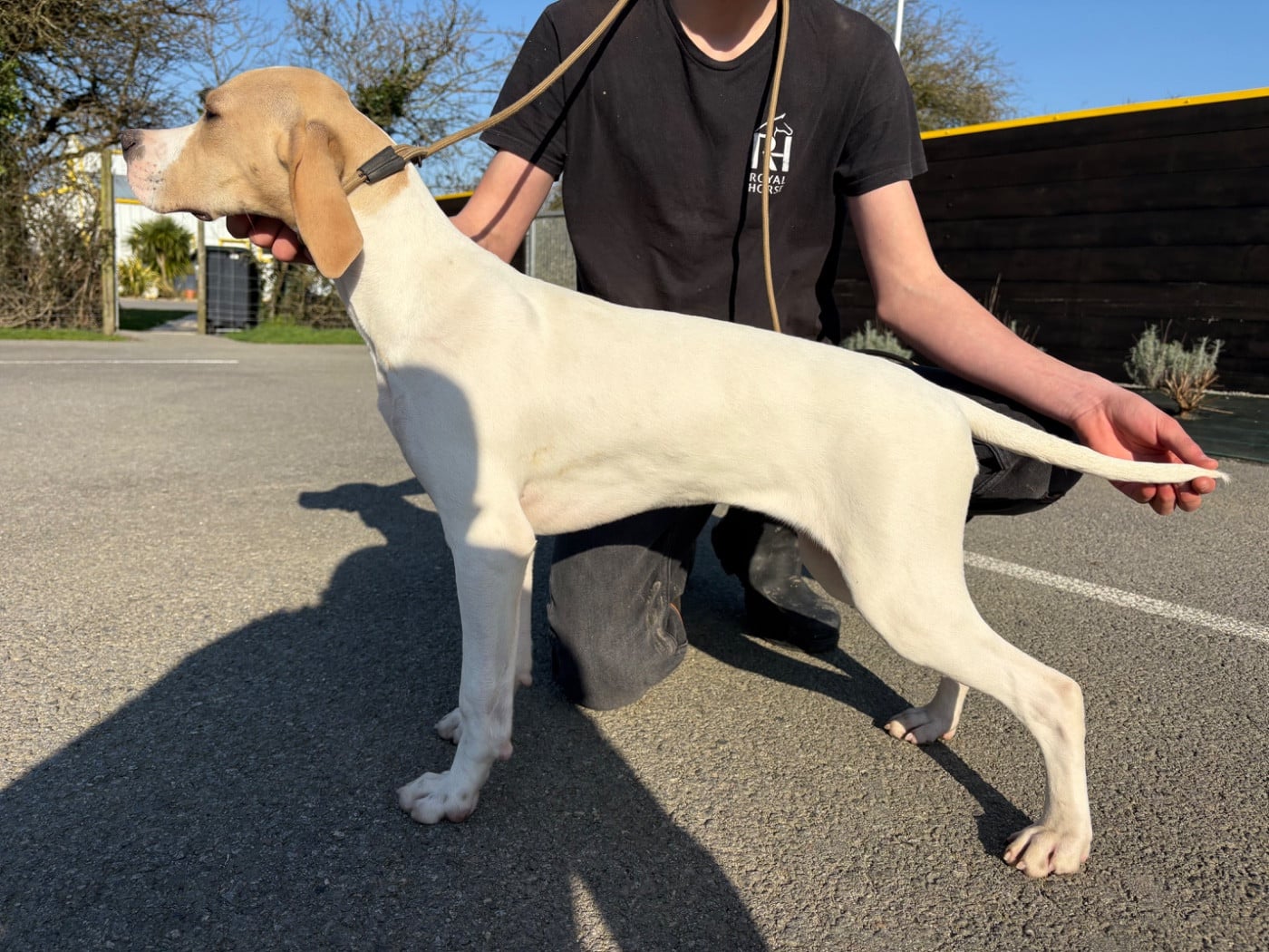 Publication : Du Bois Joalland 