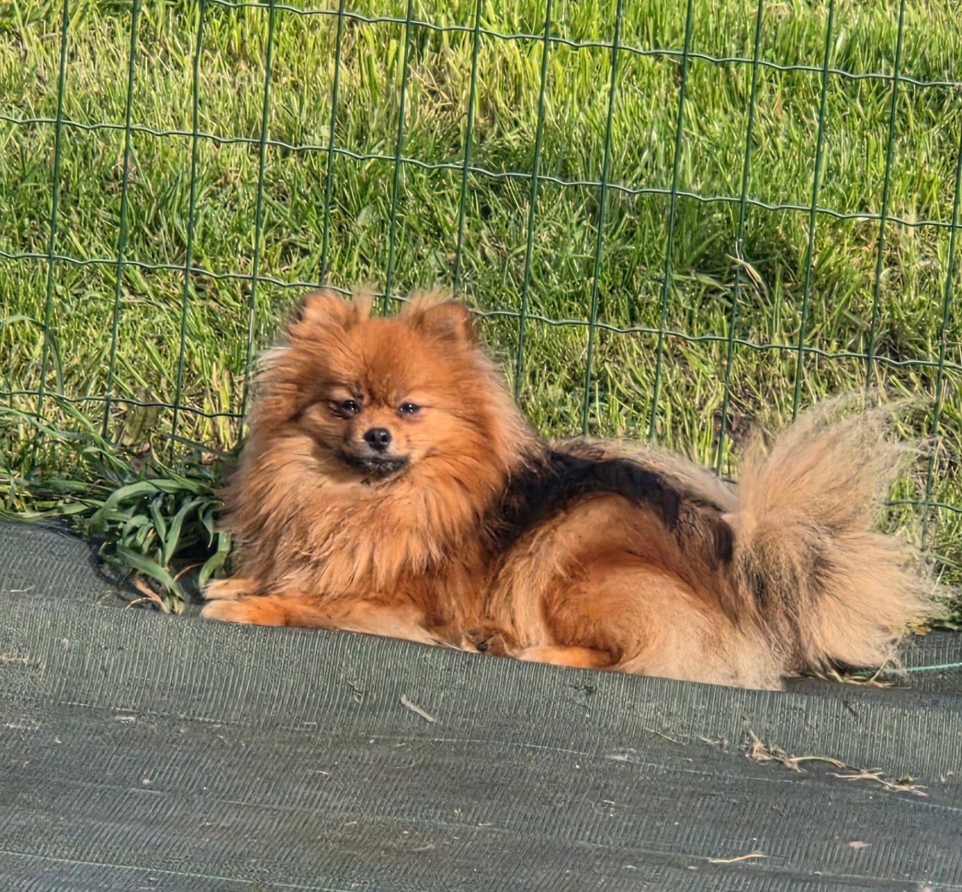 Publication : Des Jardins De Titan 