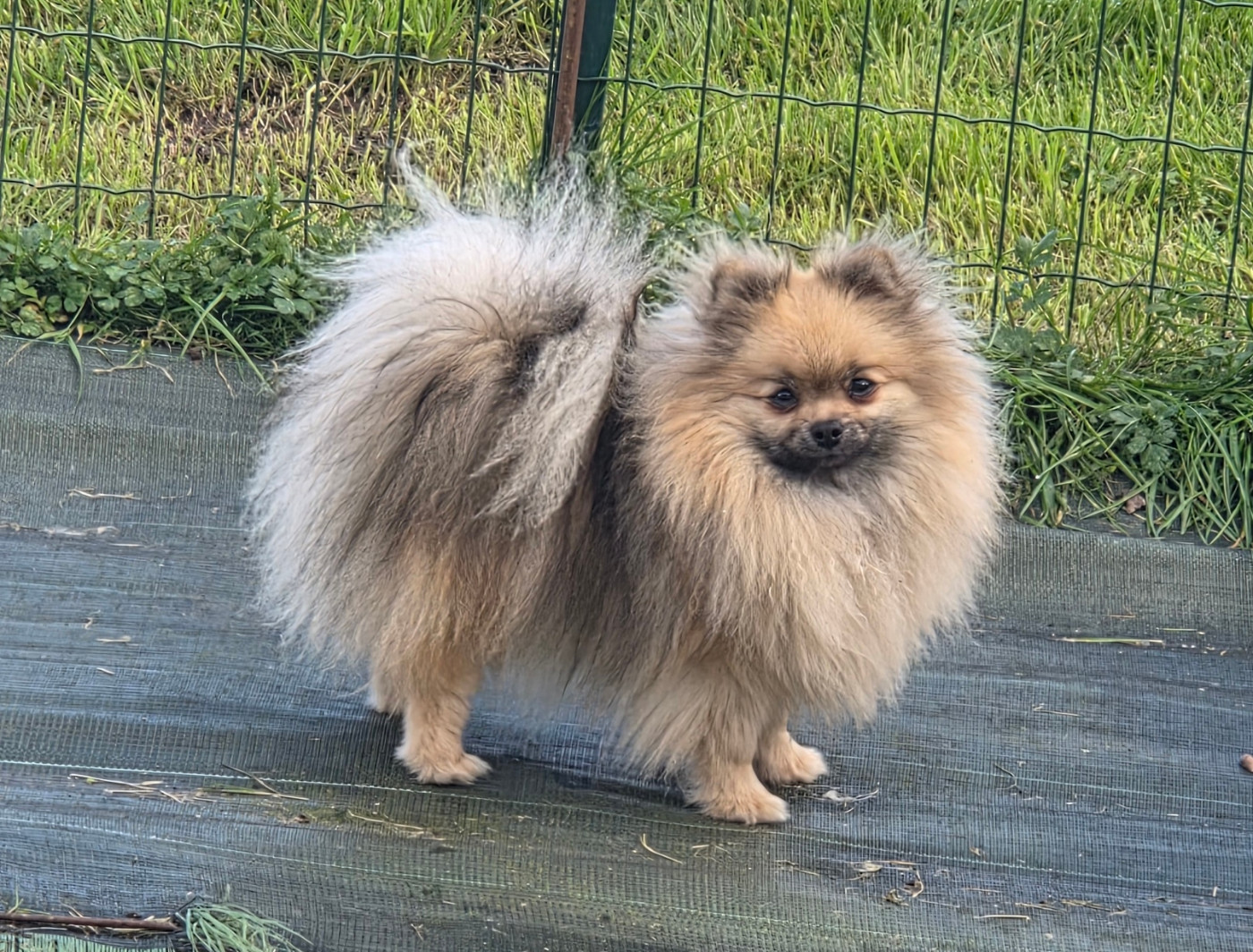 Publication : Des Jardins De Titan 