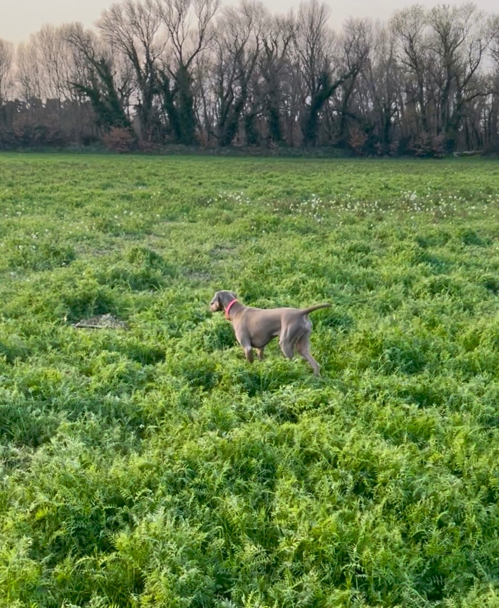 Publication : Du Mont Mirabilis 