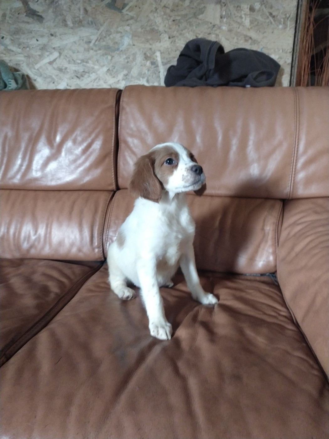 Publication : De La Terrible Menée 