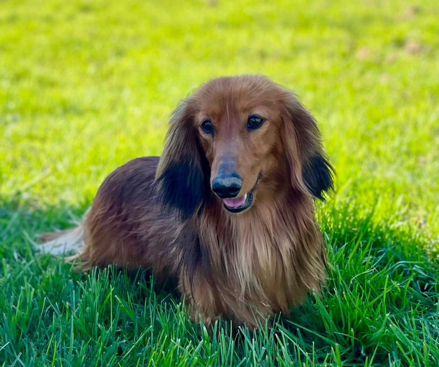 Publication : Des Vents D'Océan