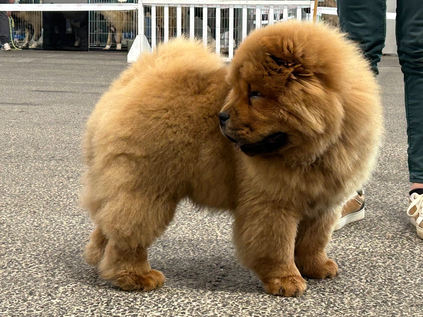 Publication : De La Rivière Au Soleil 