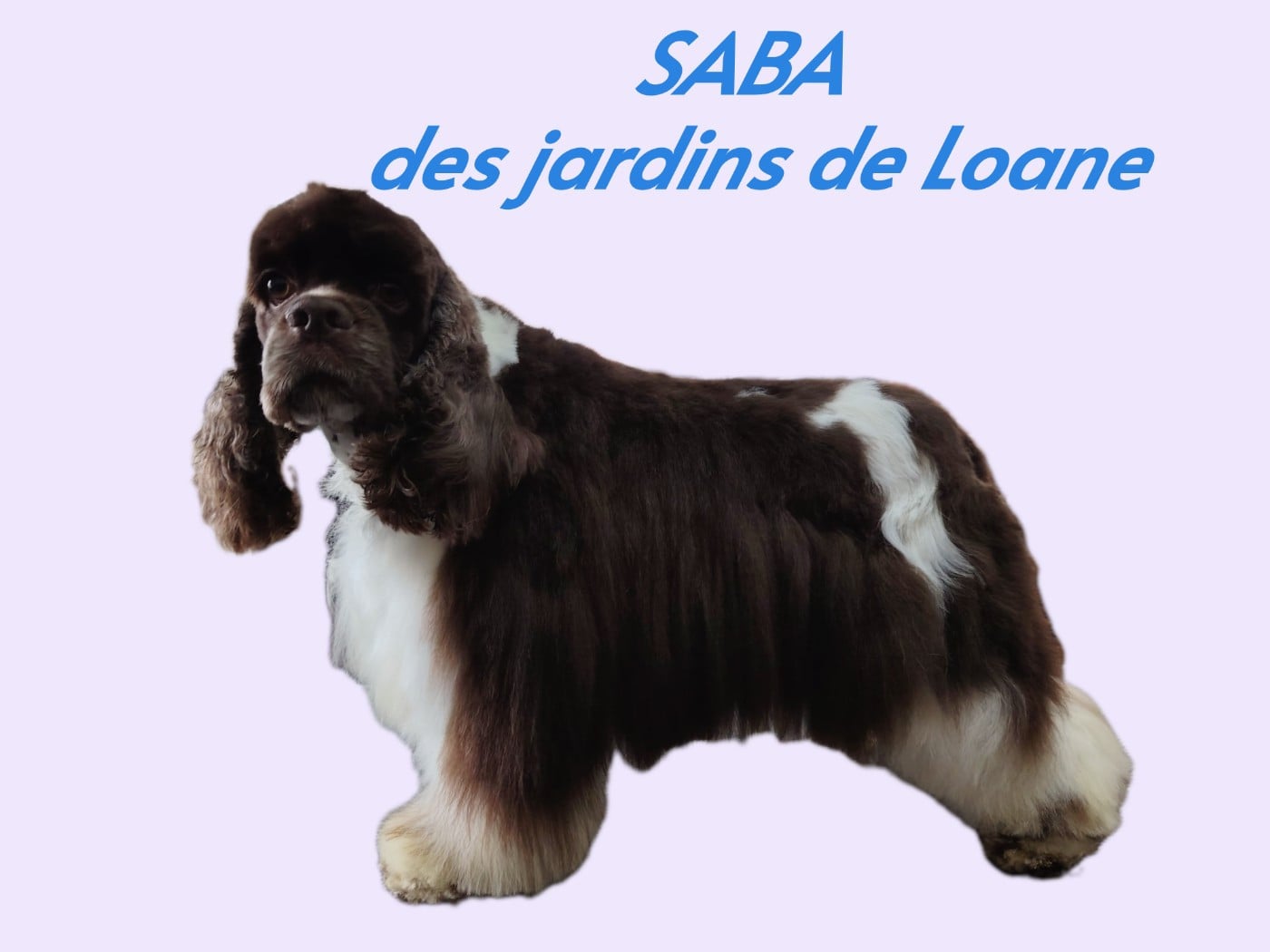Publication : des jardins de Loane 