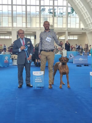 Étalon Rhodesian Ridgeback - CH. Empyrean Alodial Princess Uzuri (Sans Affixe)