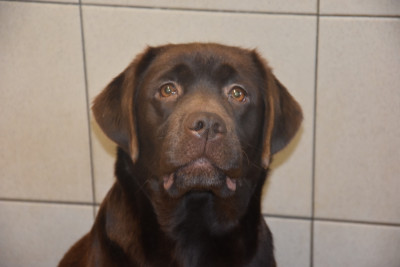 UCHKA Du Grand Etricher