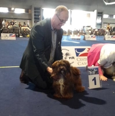 CH. Uni-Kitty Du Domaine De Brière